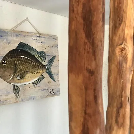 Lets Holidays Charming Fisherman House With Terrace 别墅 *